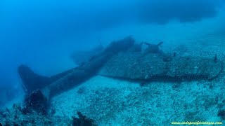 Black Jack B17F  Diving wreck in Papua New Guinea [upl. by O'Conner]