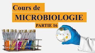 Cours de microbiologie partie 16 généralités sur les milieux de culture [upl. by Osnohpla]