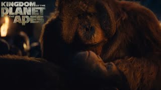 Kingdom of the Planet of the Apes Opening Scene Caesar’s Funeral HD Quality [upl. by Kcirde279]