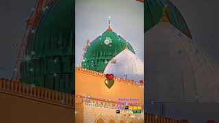 Chaman Chaman ki dilkashi phoolon ki hai vo taazgi madina haram Sharif masjid e Nabi 🤲🤲🕋🕋🤲🕋🇸🇦🇸🇦🥀🕌🌛🌛🌛 [upl. by Munniks]