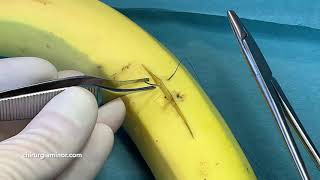 Practicing interrupted suture on banana [upl. by Anesuza415]