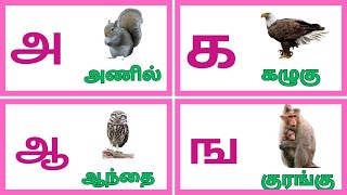 உயிர் எழுத்துக்கள்உயிர்மெய் எழுத்துக்கள் uyir eluthukkal uyirmei eluthukkalkidswithfunlearning [upl. by Brebner]