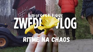 Weekvlog 2 Emigreren naar Zweden Cantarellen plukken amp Krijgen we de zitmaaier aan de praat [upl. by Aynotel]