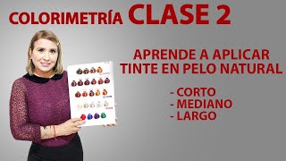 Curso de COLORIMETRIA 2como aplicar el tinte y que no quede manchado [upl. by Assillim]