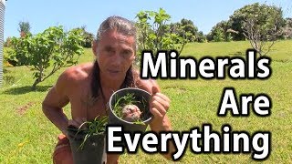 Minerals Are Everything  Tip Of The Day  Dr Robert Cassar [upl. by Gibbeon37]