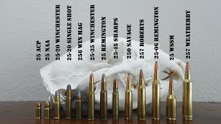 Complete Guide to 25 Caliber Cartridges  25 ACP 2506 257 Weatherby 250 Savage amp More [upl. by Nemra]