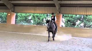 Laurens Bissell  Dressage Clinic [upl. by Gottuard]