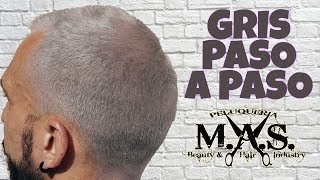 Como teñir cabello GRIS PLATA paso a paso How to dye hair silver grey Hair Tutorial step by step [upl. by Daphne981]