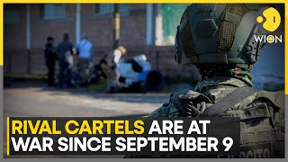 Sinaloa Cartel violence rages on in Mexico  WION [upl. by Bocock]