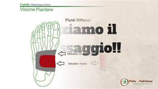 massaggio intestino riflessologia plantare [upl. by Lulita]