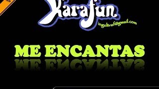 ME ENCANTAS  PEDRO FERNANDEZ  karaoke   VAF [upl. by Ashil]