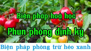 Bệnh héo xanh trên rau màu nguyên nhân biểu hiệu và cách phòng trị bệnh Heoxanh Anphatnong [upl. by Lytle]