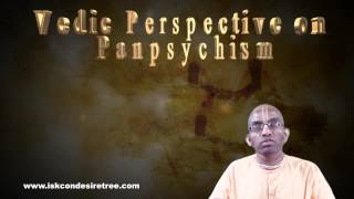 What is the Vedic perspective on panpsychism [upl. by Adrell]