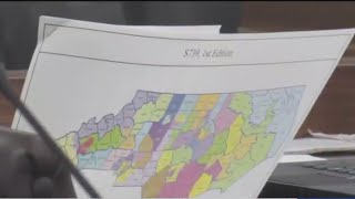 New redistricting maps head to Gov Hochuls desk [upl. by Inanaup]