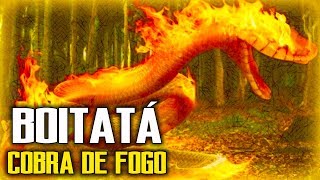 A lenda do Boitatá  FOLCLORE BRASILEIRO [upl. by Nosmas]