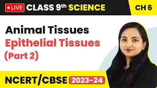 Animal Tissues  Epithelial Tissues Part 2  Class 9 Science Chapter 6 LIVE [upl. by Pardner]