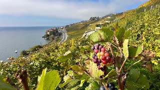 Lavaux Teil 1 ein Traum von Rebbergen am Genfersee [upl. by Ahsai22]