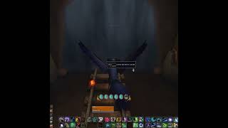 How to get the Dalaran sewer turtle in worldofwarcraft thewarwithin warcraft [upl. by Kehoe]