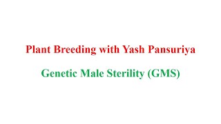 Genetic Male Sterility GMS Pollination Control [upl. by Bred]