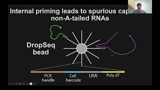 Illuminating transcriptomic dark matter with new spatial technologies [upl. by Araec]