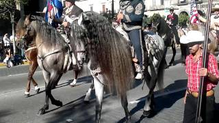 desfile de ecuestre de charros y caballos [upl. by Kirschner]