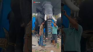 Robotic elephant made by this poor man shortvideo [upl. by Yerggoeg247]