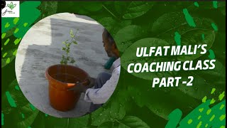 How to regrow damaged Chamaedorea plant [upl. by Wivina]