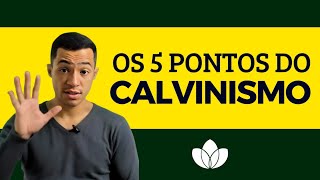 VOCÊ É UM CALVINISTA [upl. by Esilenna]