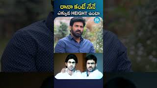 రానా కంటే నేనే ఎక్కువ HEIGHT ఉంటా subbaraju rana  iDream Chittoor [upl. by Nylaf439]