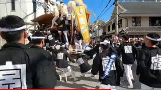 【年末 ❗️岸和田 ❗️ギリギリ ❗️祭り ❗️小門 貝源 ❗️カンカン場 ❗️✨】 [upl. by Falo]