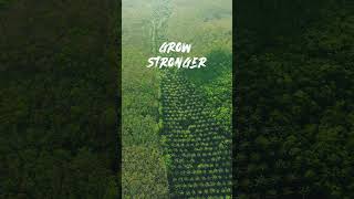 Grow Stronger Nature’s Lesson in Growth 🌱✨  motivation shorts [upl. by Anirual645]