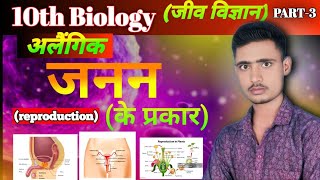 Types of asexual Reproduction in hindi ll अलैगीक जनन के प्रकार ll Class 10th biology ll class 10 ll [upl. by Rushing]