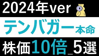 【2024年テンバガー候補】新NISA成長投資枠で仕込みたい大化け候補5選をご紹介！ [upl. by Assiar]