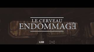 LIM CLIP LE CERVEAU ENDOMMAGE [upl. by Glen]