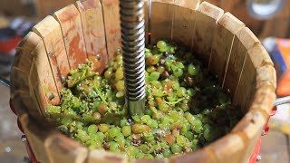 Making a White Wine from Grapes [upl. by Anovahs]