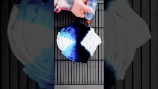 Dye Tshirt coloring with Blue color diy creative art artist tshirt tutorial satisfying love [upl. by Swiercz]