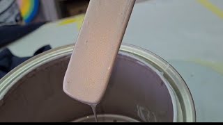 How to mix automotive paint with duxone® paint  Toyota Cashmere paint  basic step by step guide [upl. by Fai503]