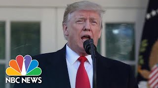 President Donald Trump Announces Deal To End Shutdown Reopen Government  NBC News [upl. by Philemon]