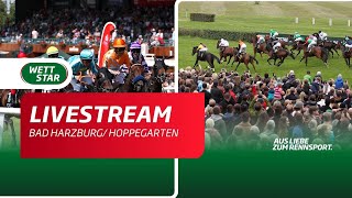 Livestream BerlinHoppegarten Bad Harzburg 2107 [upl. by Alana679]