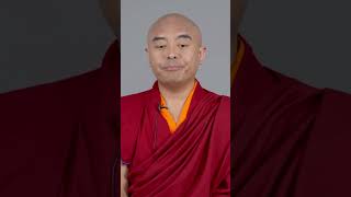 Yongey Mingyur Rinpoche [upl. by Kari]