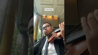 Araw Gabi violin violinmusic violinlover music violinmelodies [upl. by Kacey890]