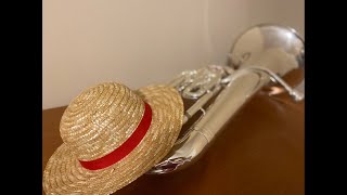 Binks Sake One Piece  Euphonium Duet [upl. by Hughett]