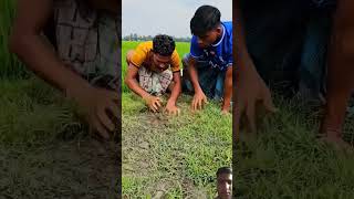 🤌🤌 experiment motivation crazyxyz farming amazingfacts facts smartlifehacks smarthome funny [upl. by Craven]