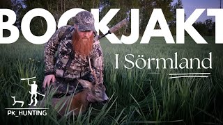 Bockjakt i viltrika Sörmland Bockjakt 2024 [upl. by Eirhtug]