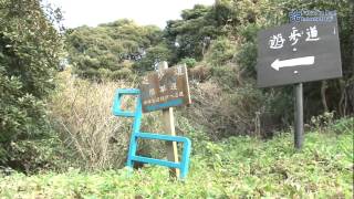 Kyushu OLLE  MunakataOshima Island [upl. by Anaila]