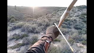 Colorado Moose Hunt Solo Longbow [upl. by Eerazed644]