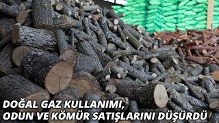 Doğal gaz kullanımı odun ve kömür satışlarını düşürdü [upl. by Anaeel]