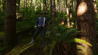 I finally flew through and old growth forest with my FPV drone [upl. by Sandeep481]