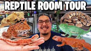 Reptile Room Tour Pet Room [upl. by Ralph]