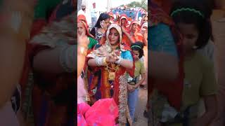 Shekhawati dj danceweddingmarriagedanceshorts [upl. by Elatnahc]